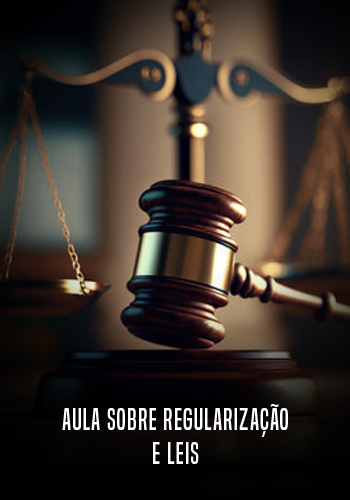 Capa 16